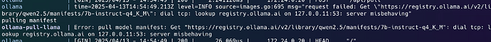 ollama_externalnetwork_issue